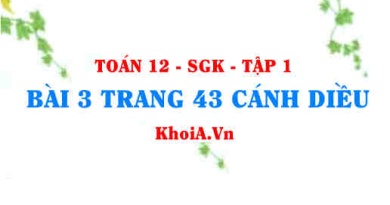 Bài 3 trang 43 Toán 12 tập 1 Cánh Diều